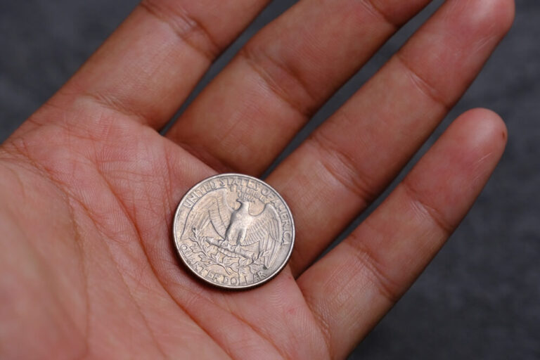 Using Copper Pennies In Bird Baths (Natural Algae Prevention)